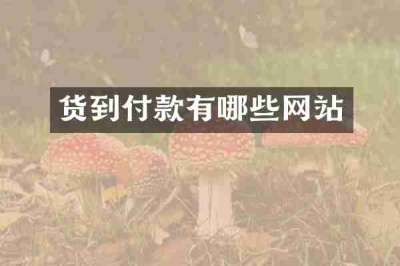 货到付款有哪些网站