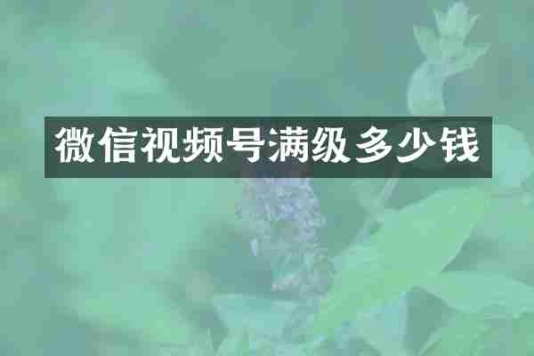 微信视频号满级多少钱