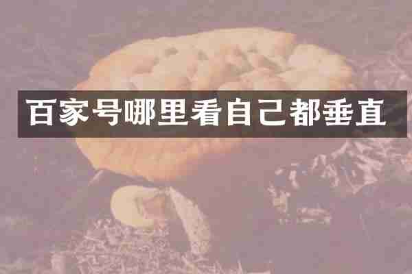 百家号哪里看自己都垂直
