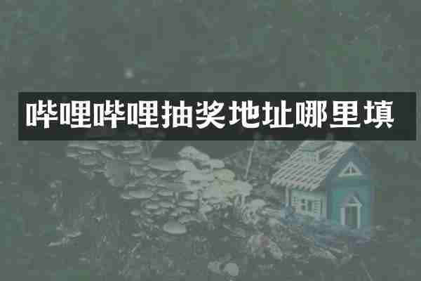 哔哩哔哩抽奖地址哪里填