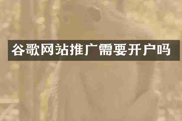 谷歌网站推广需要开户吗
