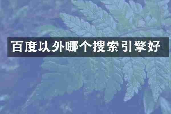 百度以外哪个搜索引擎好