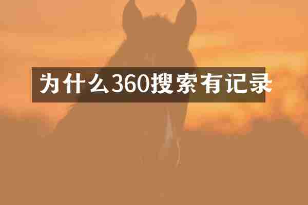 为什么360搜索有记录