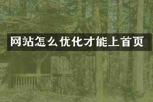 网站怎么优化才能上首页