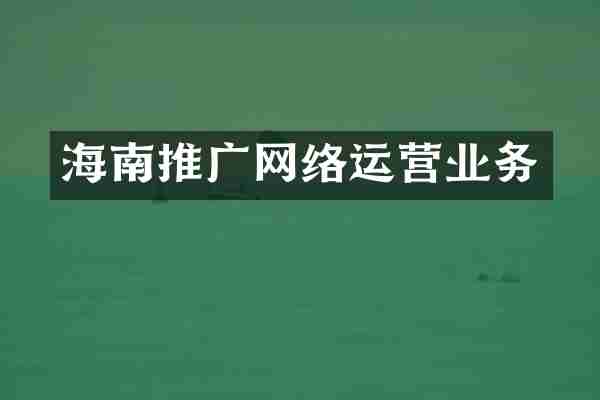 海南推广网络运营业务