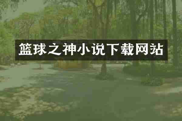 篮球之神小说下载网站