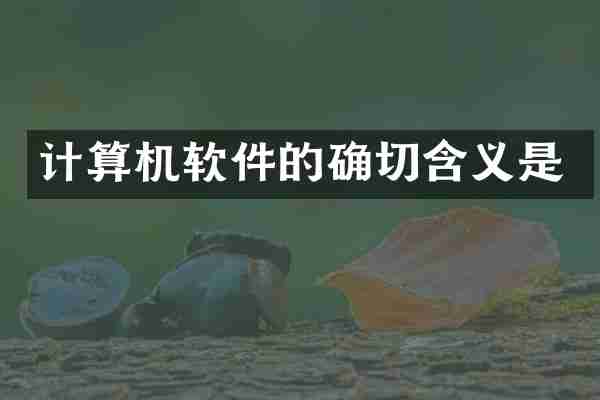 计算机软件的确切含义是