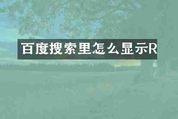 百度搜索里怎么显示R