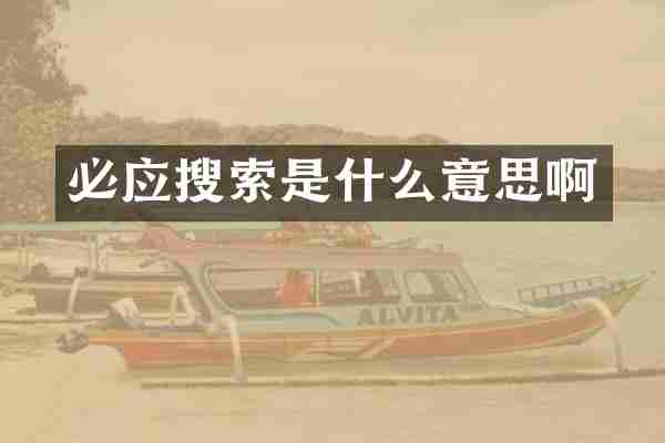 必应搜索是什么意思啊