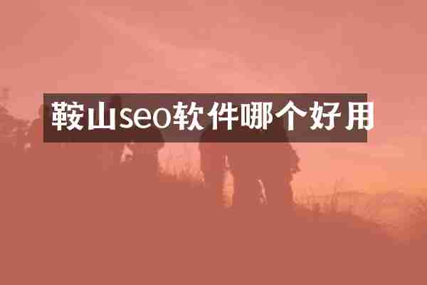 鞍山seo软件哪个好用