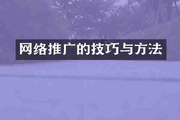 网络推广的技巧与方法