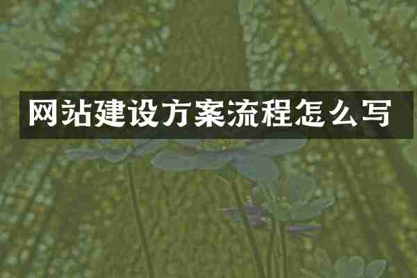 网站建设方案流程怎么写