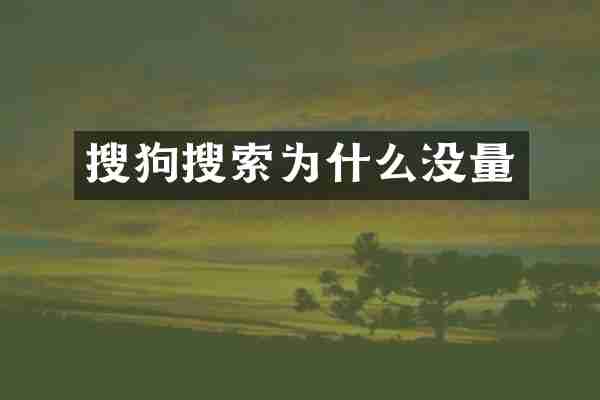 搜狗搜索为什么没量
