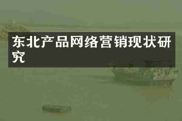 东北产品网络营销现状研究