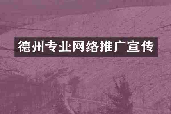德州专业网络推广宣传