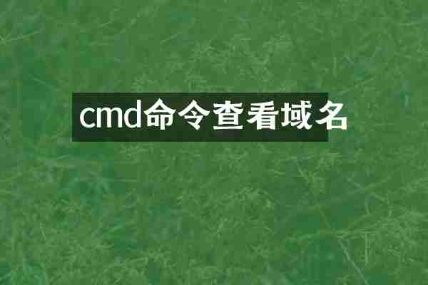 cmd命令查看域名