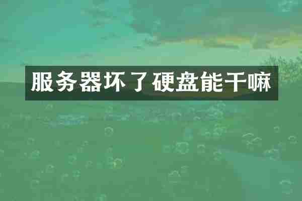服务器坏了硬盘能干嘛