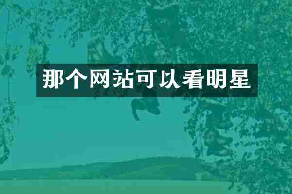 那个网站可以看明星