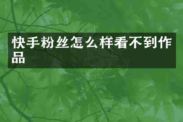 快手粉丝怎么样看不到作品
