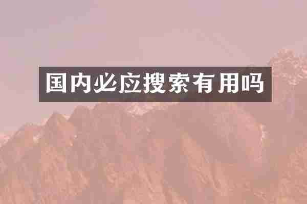 国内必应搜索有用吗