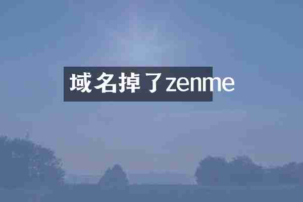 域名掉了zenme