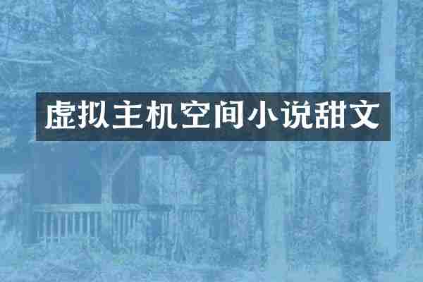 虚拟主机空间小说甜文