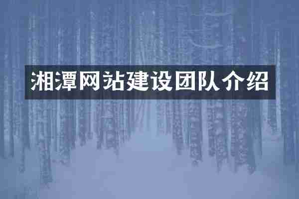 湘潭网站建设团队介绍
