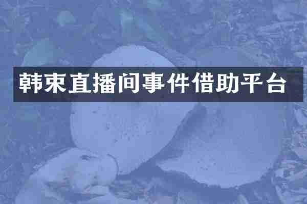 韩束直播间事件借助平台