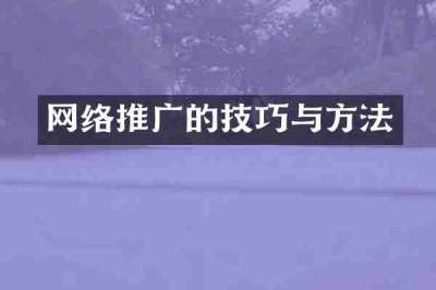 网络推广的技巧与方法
