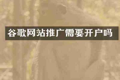 谷歌网站推广需要开户吗