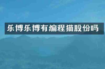 乐博乐博有编程猫股份吗