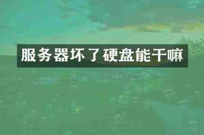 服务器坏了硬盘能干嘛