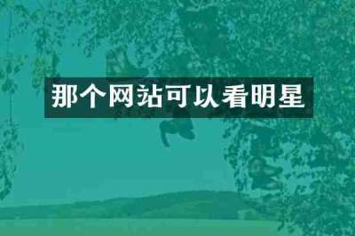 那个网站可以看明星