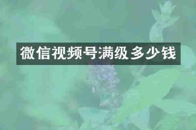 微信视频号满级多少钱