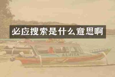 必应搜索是什么意思啊