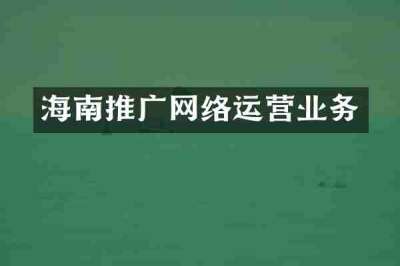 海南推广网络运营业务