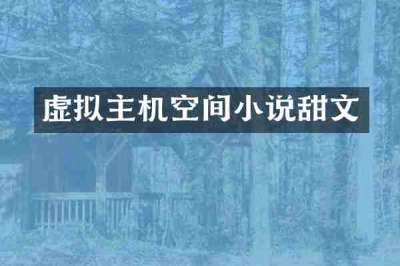 虚拟主机空间小说甜文