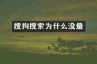 搜狗搜索为什么没量