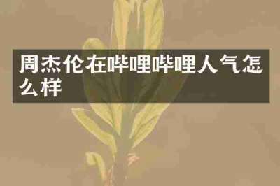 周杰伦在哔哩哔哩人气怎么样
