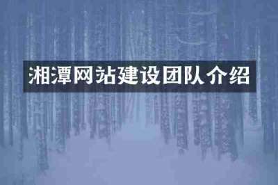 湘潭网站建设团队介绍