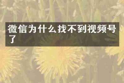 微信为什么找不到视频号了