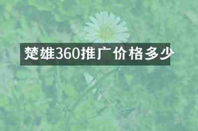 楚雄360推广价格多少