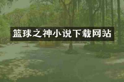 篮球之神小说下载网站