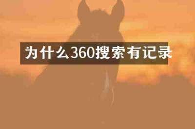 为什么360搜索有记录