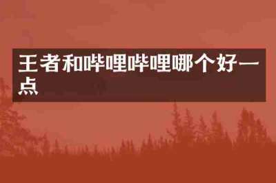 王者和哔哩哔哩哪个好一点