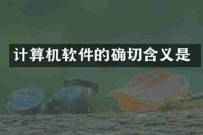 计算机软件的确切含义是
