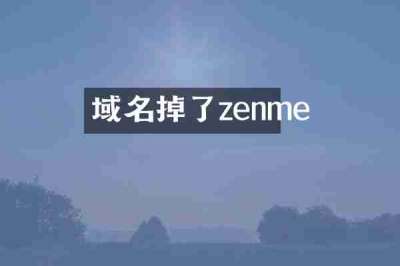 域名掉了zenme