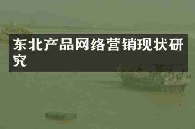 东北产品网络营销现状研究