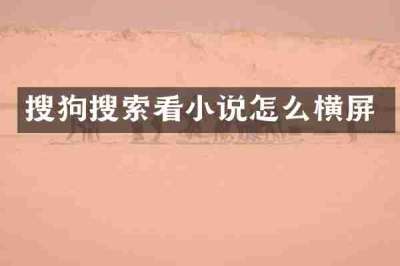 搜狗搜索看小说怎么横屏