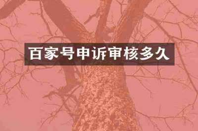 百家号申诉审核多久
